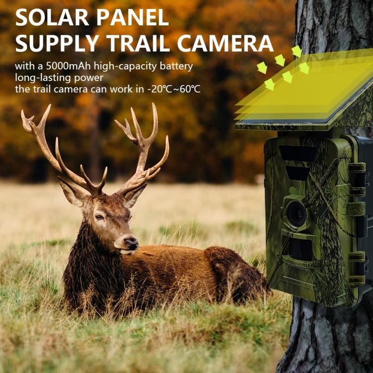 Fototrappola Solare Wifi Lcd Fotocamera Caccia App 8k 60 MP Impermeabile