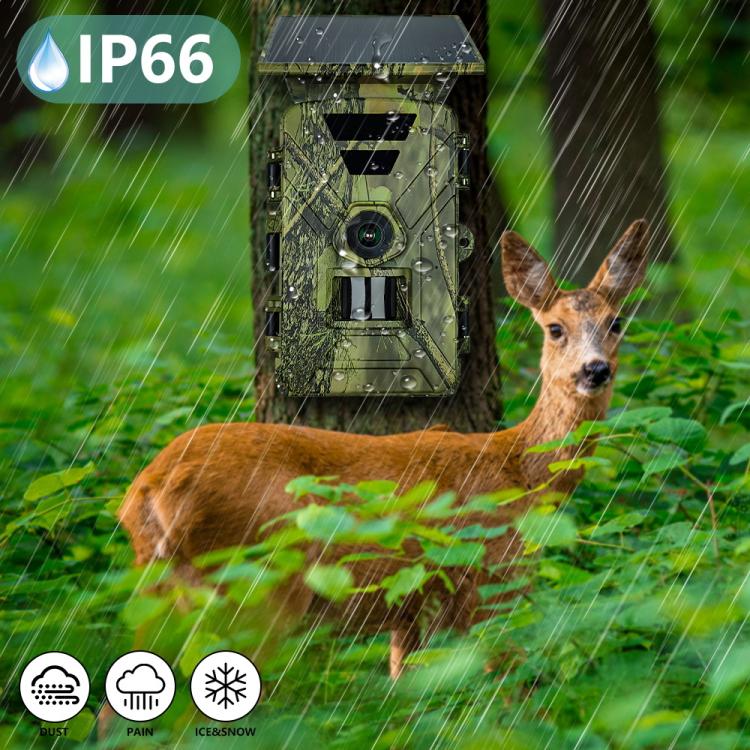 Fototrappola Solare Wifi Lcd Fotocamera Caccia App 8k 60 MP Impermeabile