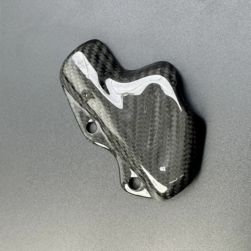 Protezione pompa freno posteriore Ducati Panigale V4 V2 899 955 959 1199 1299