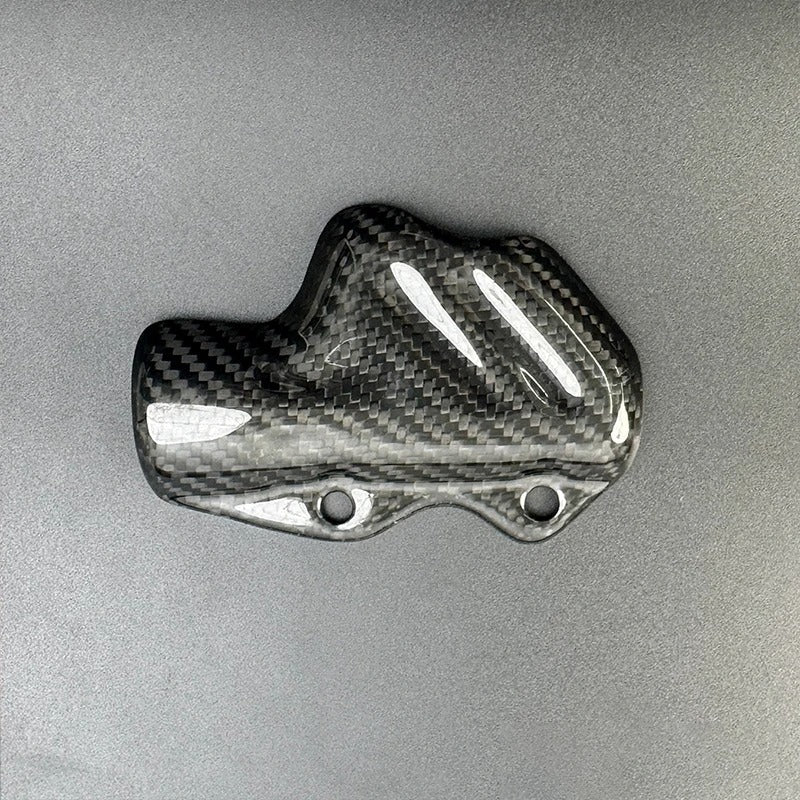 Protezione pompa freno posteriore Ducati Panigale V4 V2 899 955 959 1199 1299