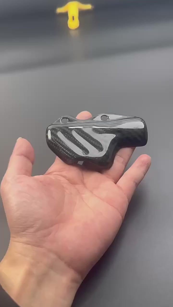 Protezione pompa freno posteriore Ducati Panigale V4 V2 899 955 959 1199 1299